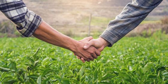 Woningcorporaties: biobased en natuurinclusief renoveren