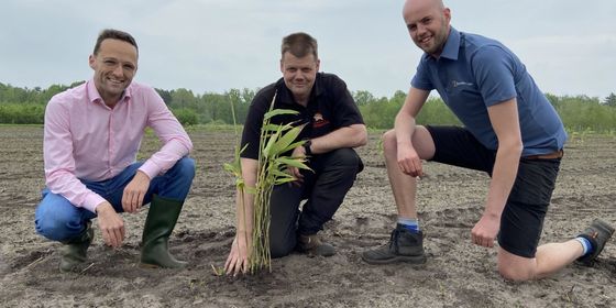 <span>Webinar 19 februari: Klimaatpositief ondernemen!</span>